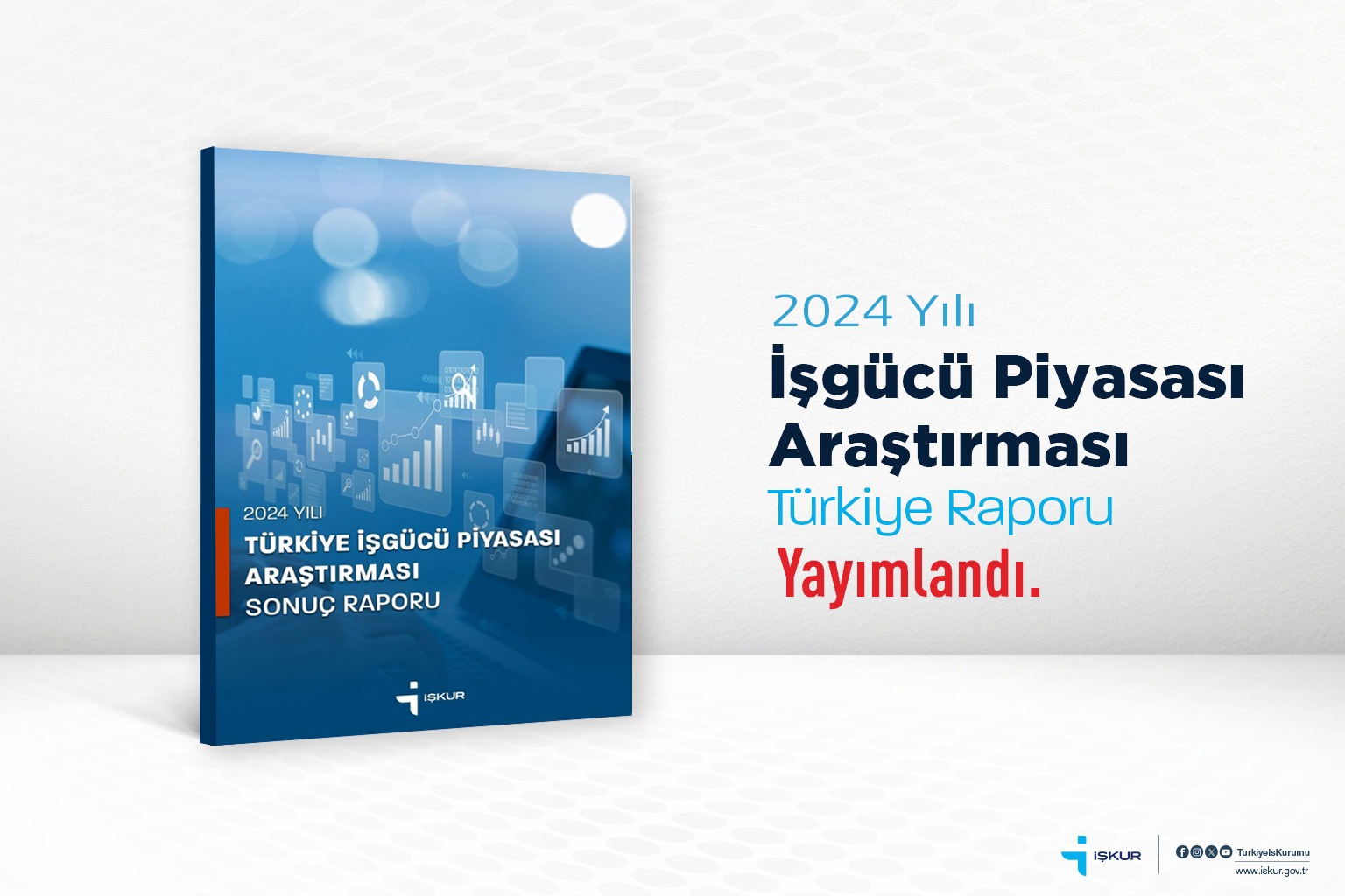 2024 Yılı İşgücü Piyasası Araştırması Raporu Yayımlandı